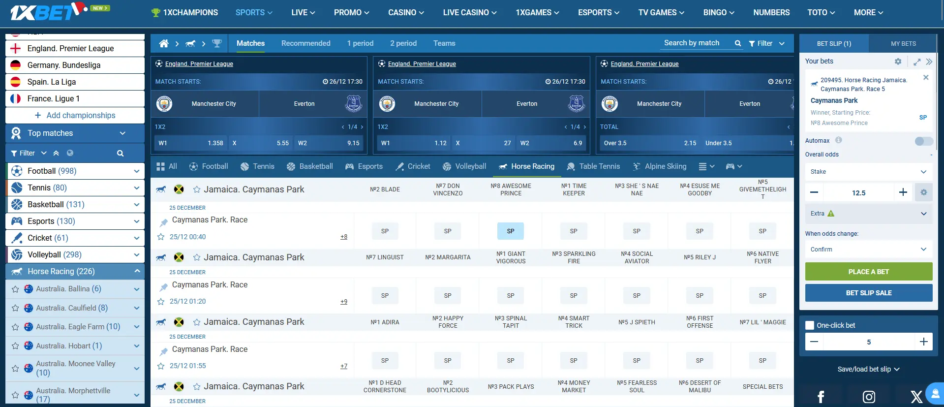 How to bet on horse racing at 1xBet How to bet on horse racing at 1xBet