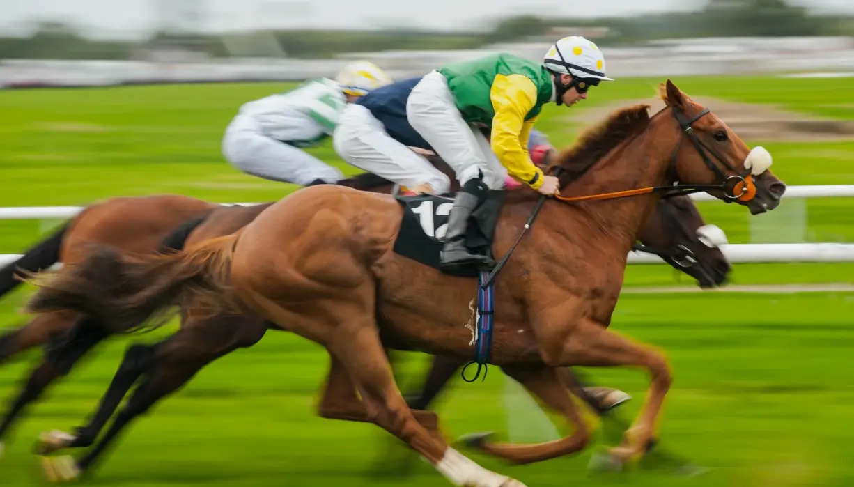 How to bet successfully on horse racing How to bet successfully on horse racing