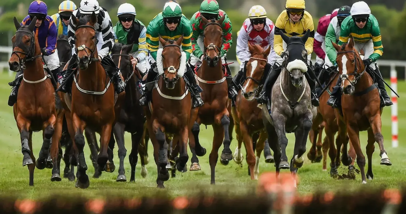 Interesting facts about horse racing Interesting facts about horse racing