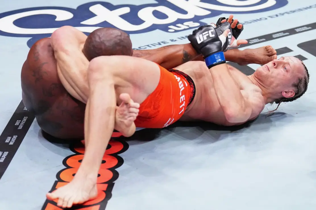 Which UFC tournaments you can bet on