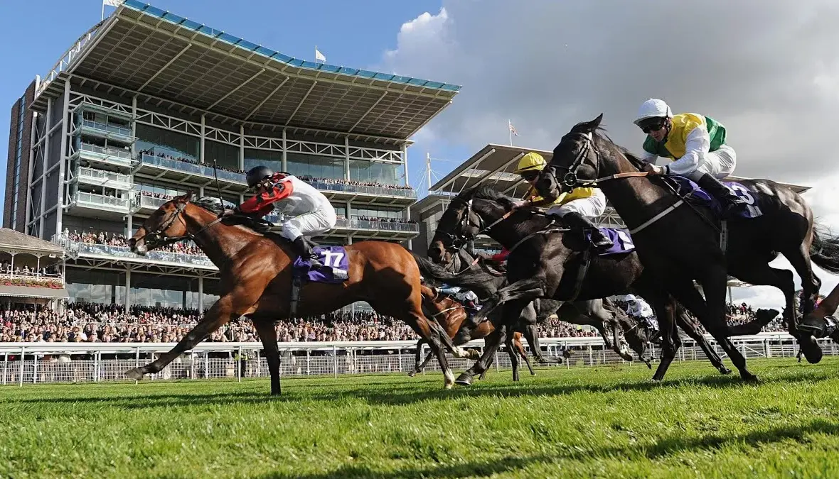 Which races can be bet on at 1xBet Which races can be bet on at 1xBet