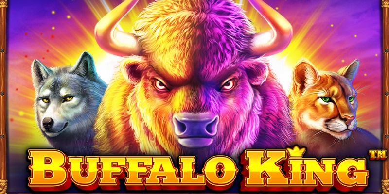 Buffalo King Slot: A Detailed Review and Where to Play