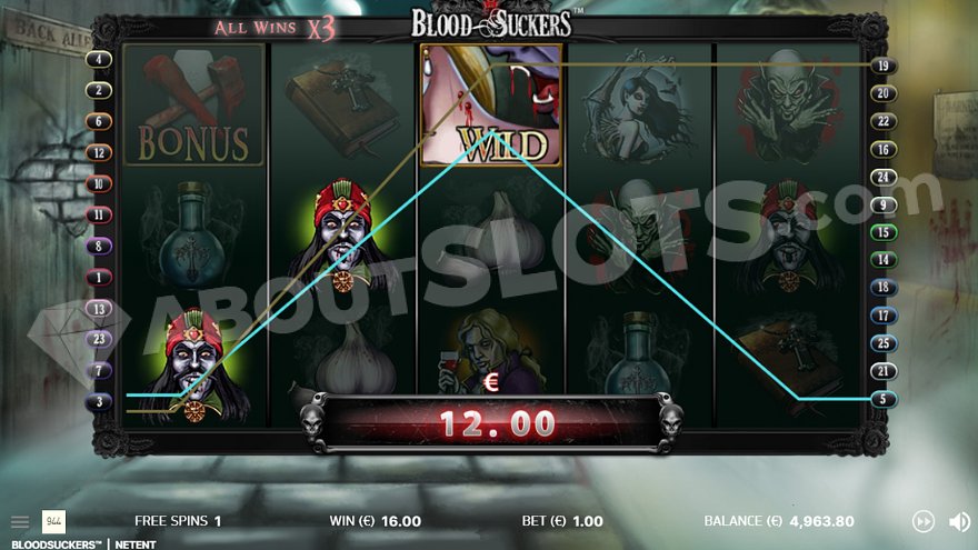 Win from 3 symbols with one of the vampire symbols.