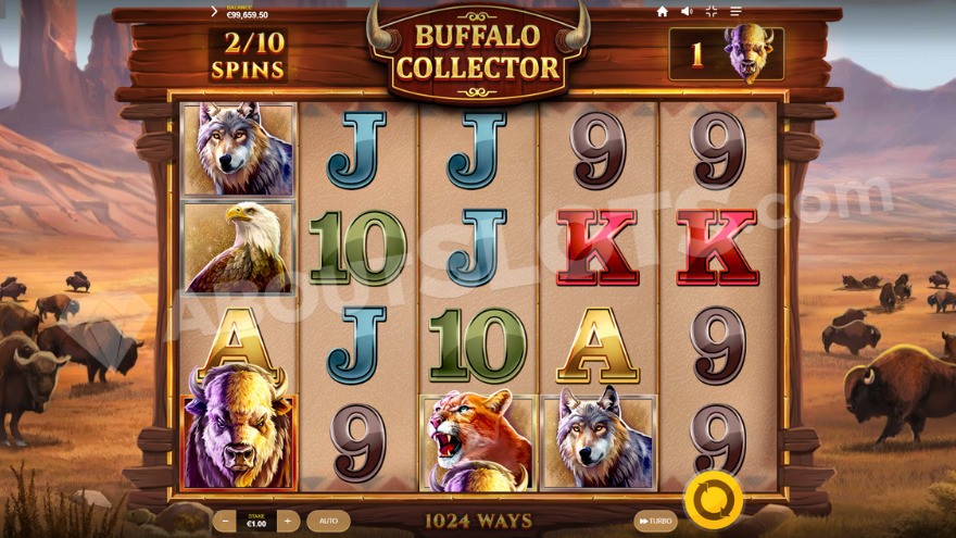 Base game with a single buffalo symbol on the reels.