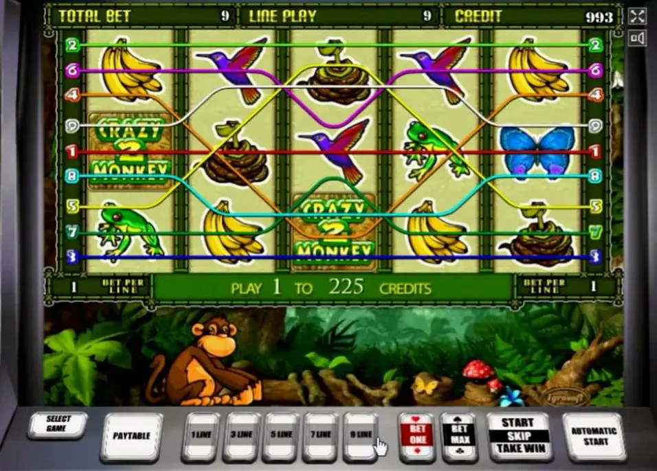 Crazy Monkey 2 Game Rules and Mechanics