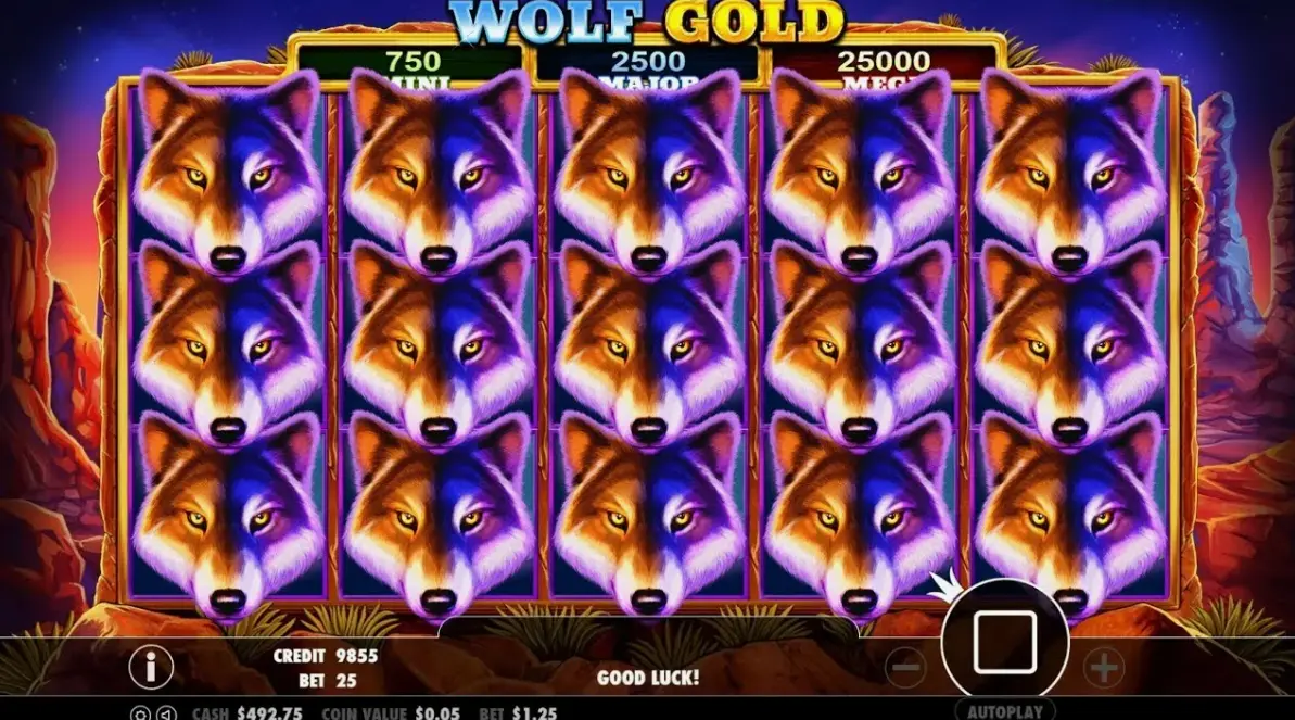 How to start playing Wolf Gold