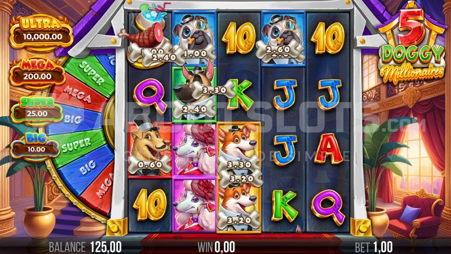 Cash Collect Symbol in 5 Doggy Millionaires Dream Drop Slot