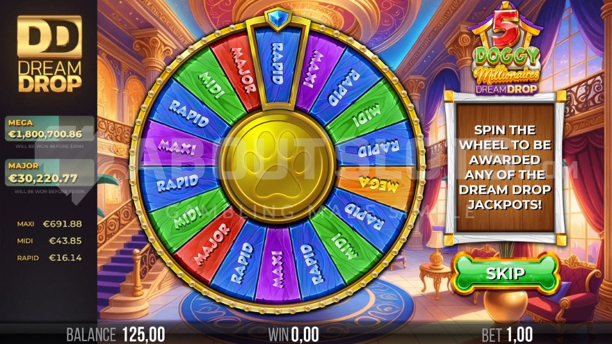 Rapid Jackpot Win in 5 Doggy Millionaires Dream Drop Slot