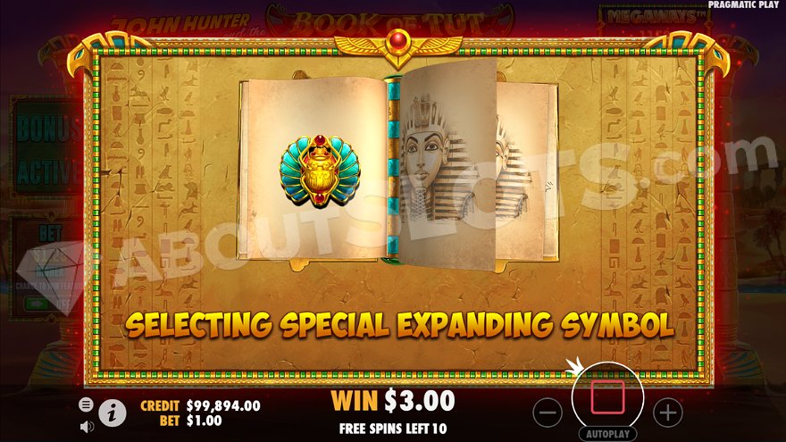Before the start of free spins, one of the regular symbols is selected as a Special Expanding Symbol.