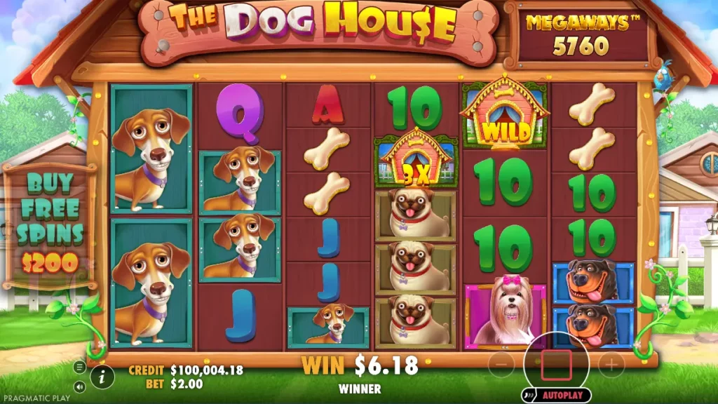 The Dog House Megaways Win