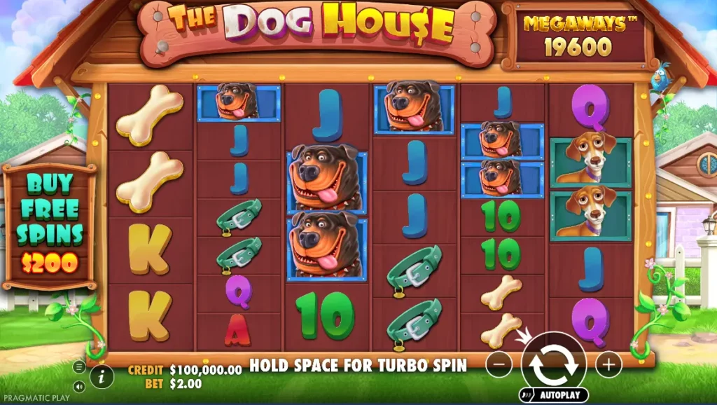 The Dog House Megaways at 1xBet